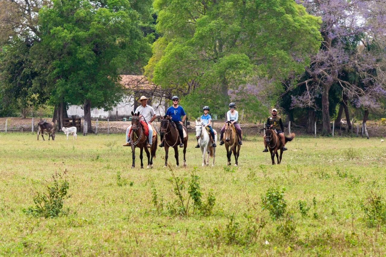 Pousada Fazenda Xaraes Todos os Santos Екстериор снимка