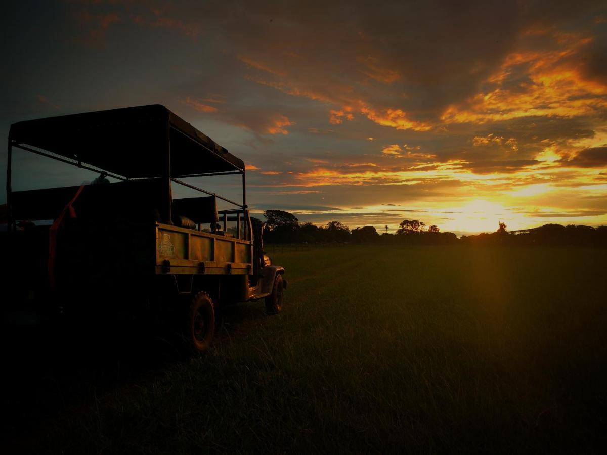 Pousada Fazenda Xaraes Todos os Santos Екстериор снимка