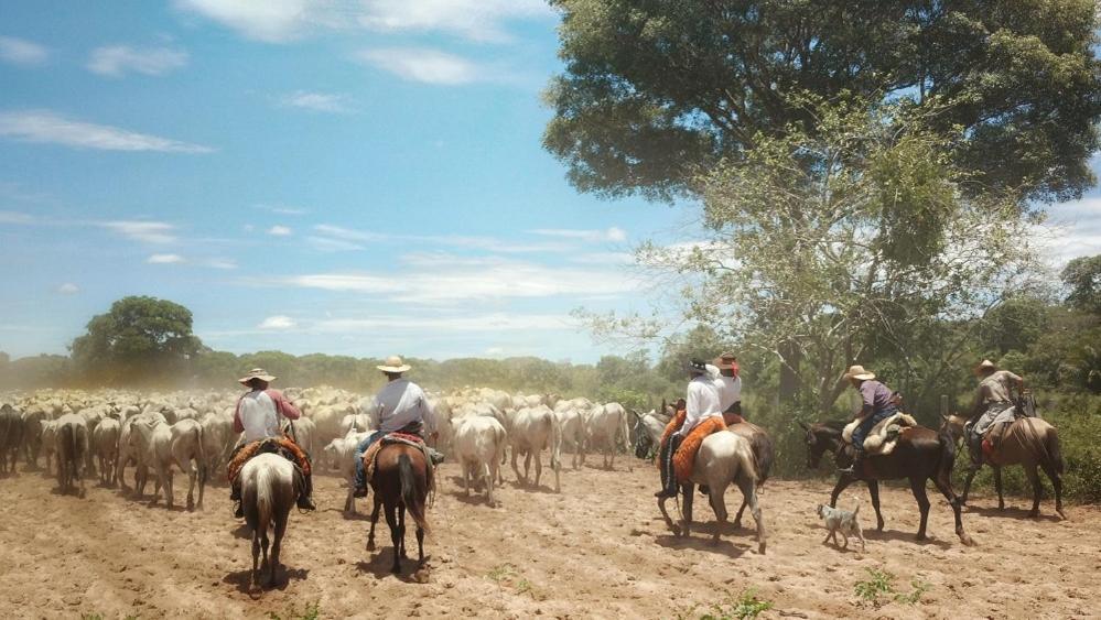 Pousada Fazenda Xaraes Todos os Santos Екстериор снимка