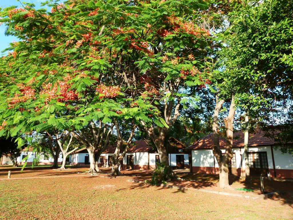 Pousada Fazenda Xaraes Todos os Santos Екстериор снимка