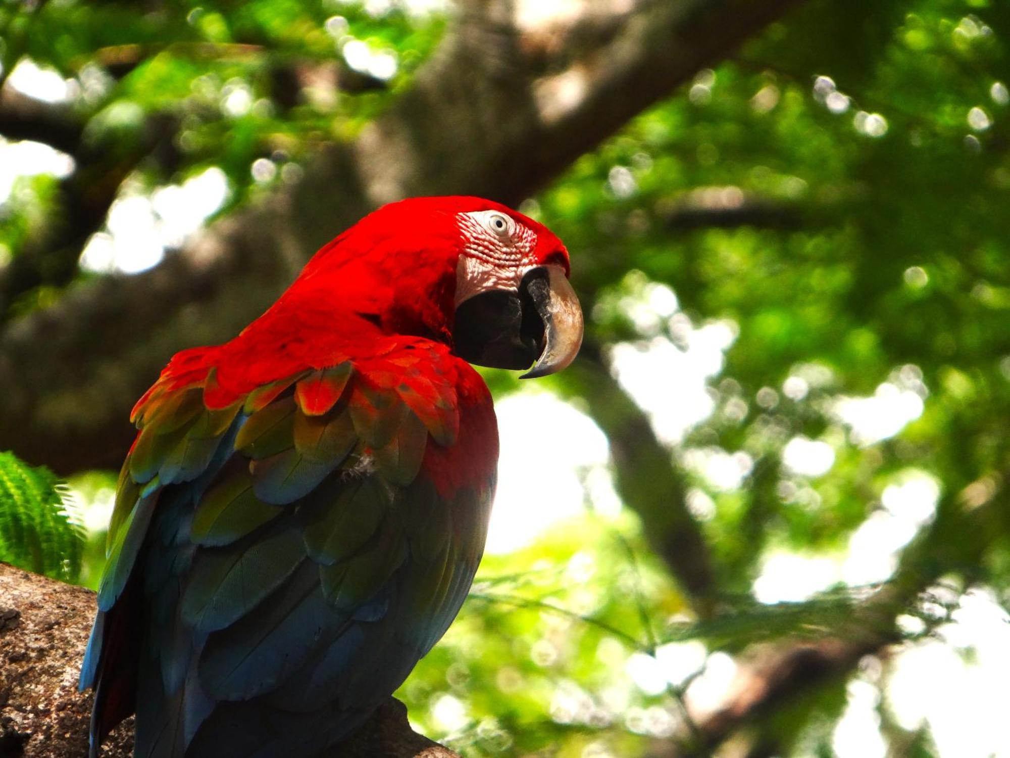 Pousada Fazenda Xaraes Todos os Santos Екстериор снимка