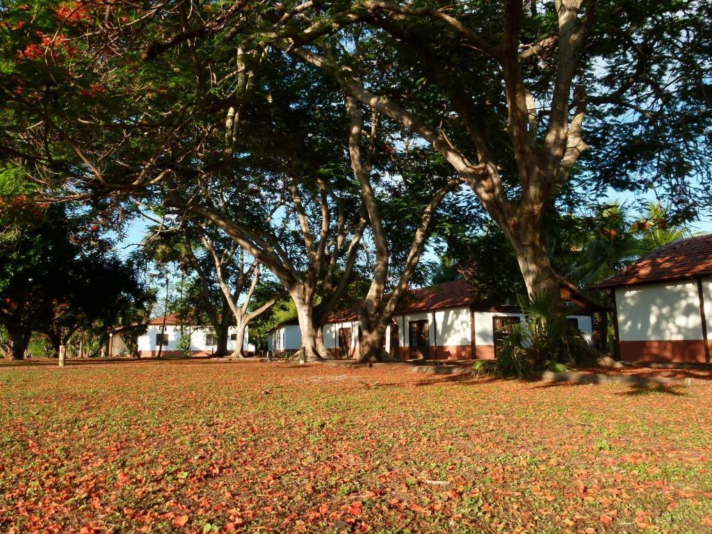Pousada Fazenda Xaraes Todos os Santos Екстериор снимка