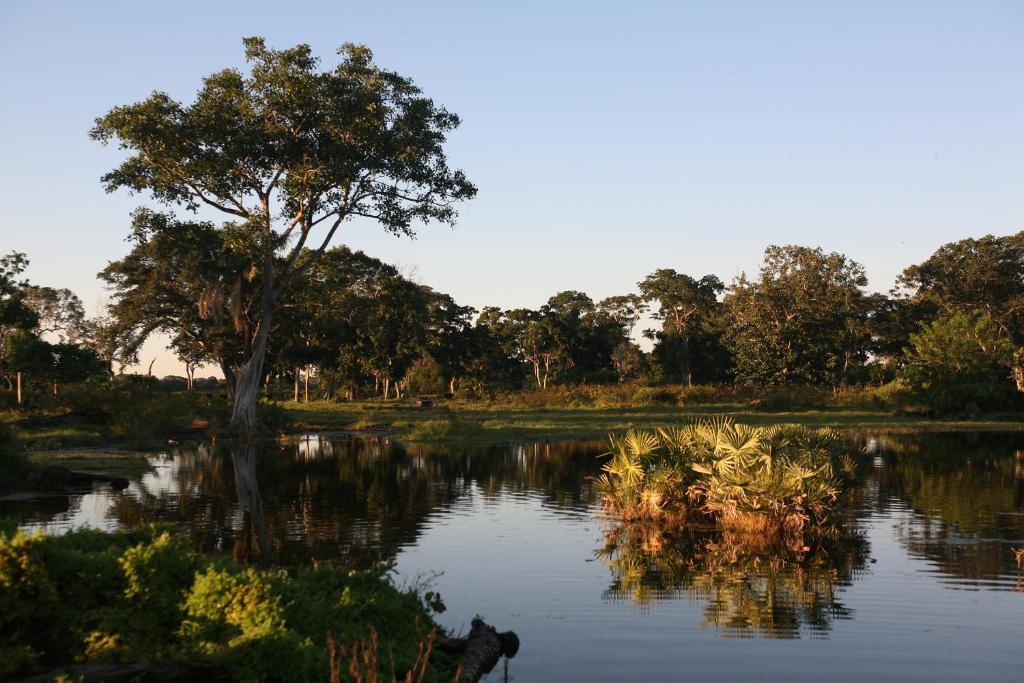 Pousada Fazenda Xaraes Todos os Santos Екстериор снимка